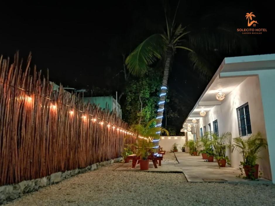 Hotel Apartaments Solecito Bacalar - Free Bikes & Paddle מראה חיצוני תמונה
